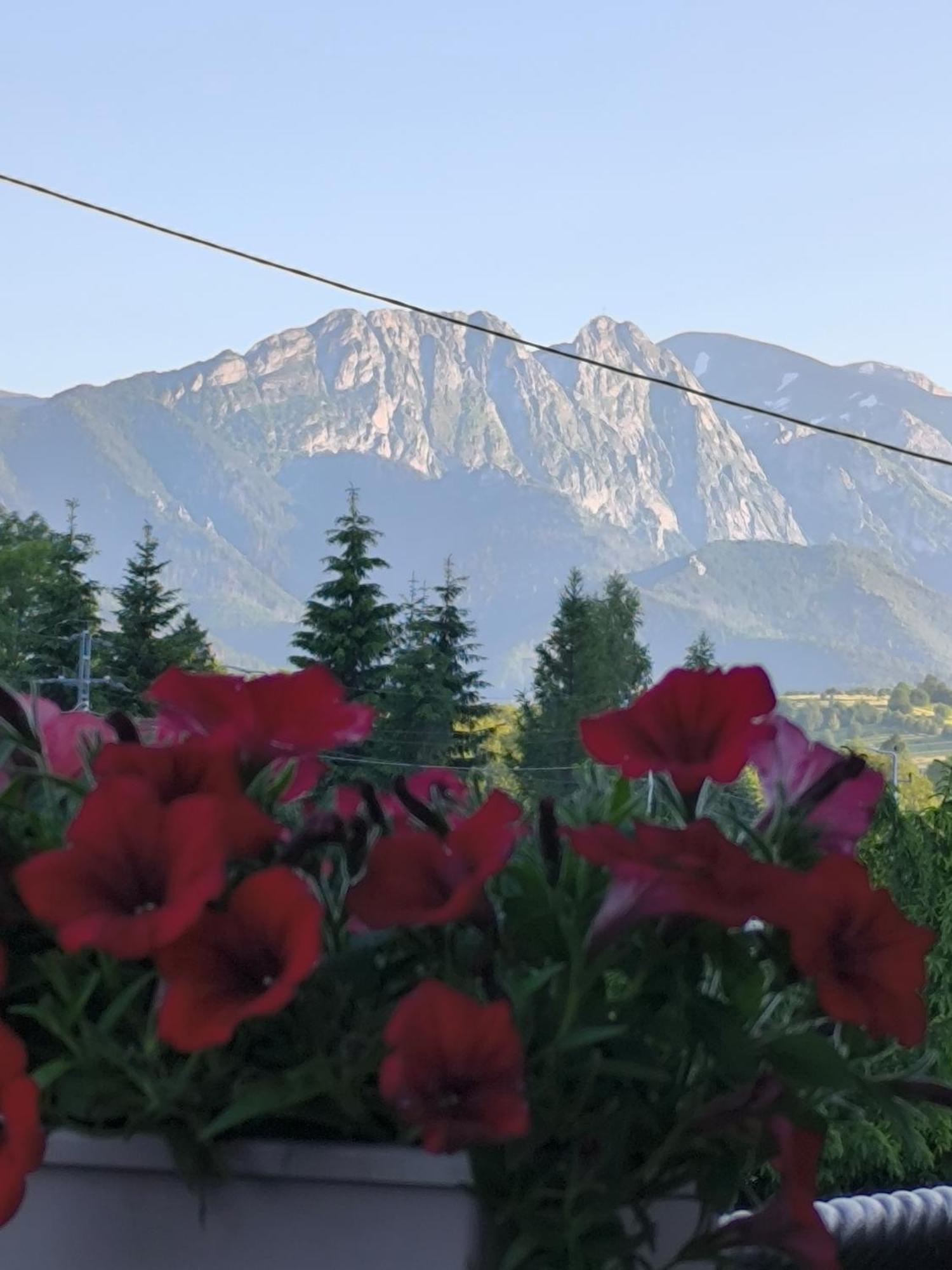 Pokoje Goscinne U Paliderki Poronin Exterior foto